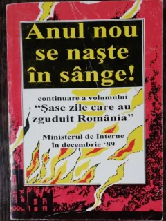 ANUL NOU SE NASTE IN SANGE - MINISTERUL DE INTERNE IN DECEMBRIE 1989