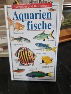 Aquarien fische, Erkennen und Bestimmen
