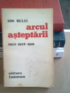 ARCUL ASTEPTARII 1914-1915-1916 - ION BULEI