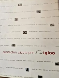 Arhitecturi vazute prin Igloo 2005