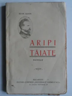 Aripi taiate - Ioan Adam