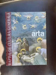ARTA DIN PREISTORIE LA RENASTEREA TIMPURIE. RAFTUL DE CULTURA GENERALA