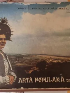 Arta Populara din Salaj