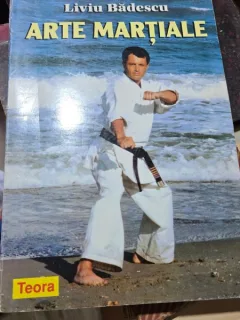 ARTE MARTIALE DE LIVIU BADESCU , 1998