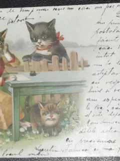 Carte postala cu trei pisici, circulata, 1900