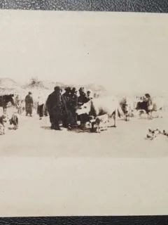 Carte postala, necirculata, reproducere dupa pictura