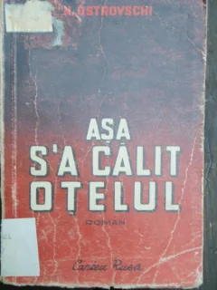 ASA S-A CALIT OTELUL - N. OSTROVSCHI