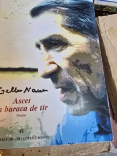 ASCET LA BARACA DE TIR DE GELLU NAUM , 2000