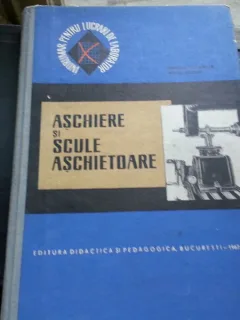 ASCHIERE SI SCULE ASCHITOARE-ENACHE STEFANUTA,AELENEI MIHAI