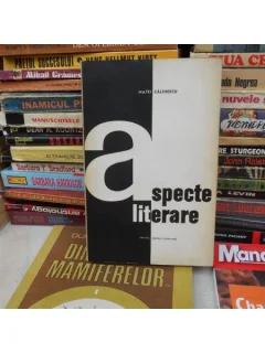 ASPECTE LITERARE , MATEI CALINESCU