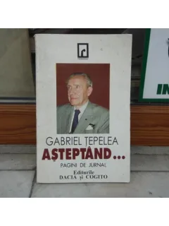 Asteptand... Pagini de jurnal , Gabriel Tepelea , 1997