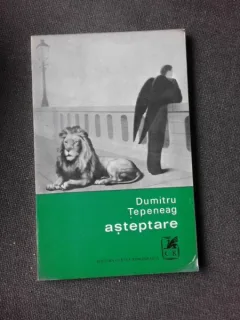 ASTEPTARE - DUMITRU TEPENEAG