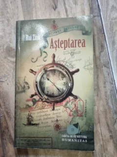 Asteptarea - Rui Zink