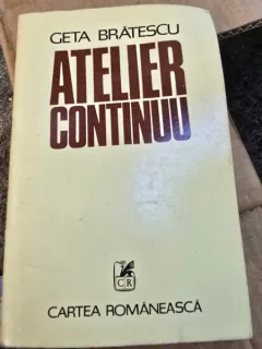 Atelier Continuu - Geta Bratescu