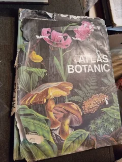 ATLAS BOTANIC de LUCIA POPOVICI
