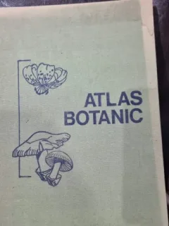Atlas botanic - Ion Toma, Lucia Popovici, Constanta Moruzi (Ed. 1985)