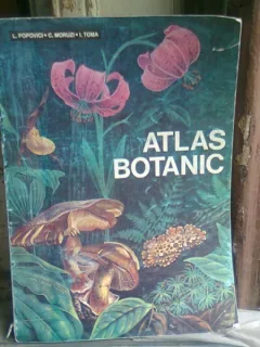 ATLAS BOTANIC - LUCIA POPOVICI  editie brosata