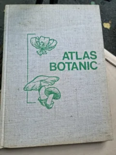 ATLAS BOTANIC - LUCIA POPOVICI, CONSTANTA MORUZI, ION TOMA