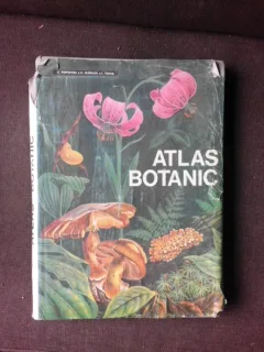 ATLAS BOTANIC - LUCIA POPOVICI