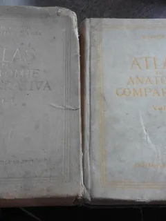 ATLAS DE ANATOMIE COMPARATIVA DE VASILE GHETIE, EUGEN PASTEA ,ILIE RIGA 1954 ,2 VOL