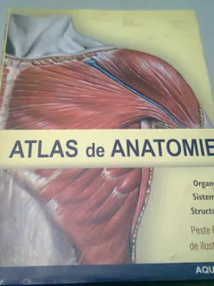ATLAS DE ANATOMIE