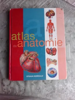 ATLAS DE ANATOMIE