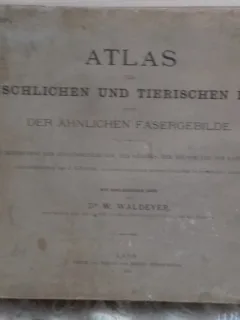 Atlas der menschlichen und tierischen haare - W. Waldeyer  (Atlas. Structura similara a fibrelor de par animal si uman)