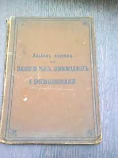 ATLAS PESTI, TEXT IN LIMBA RUSA