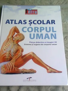 ATLAS SCOLAR, CORPUL UMAN