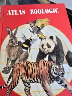 Atlas Zoologic - Anuta Ionescu-Andrei