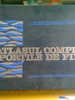 ATLASUL COMPLEX PORTILE DE FIER