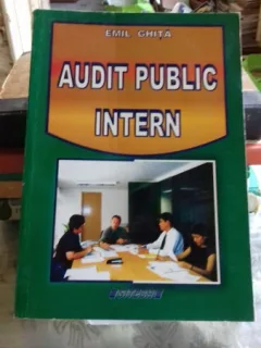AUDIT PUBLIC INTERN - EMIL GHITA