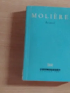 AVARUL-MOLIERE