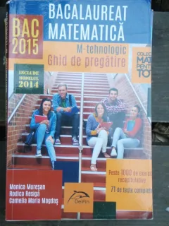 BACALAUREAT MATEMATICA - MONICA MURESAN
