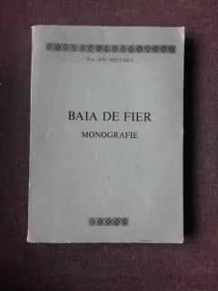 Baia de Fier, monografie - Ion Nitulescu