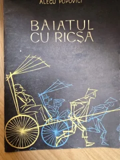Baiatul cu ricsa - Alecu Popovici. Ilustratii Lucaci Ethel Baies