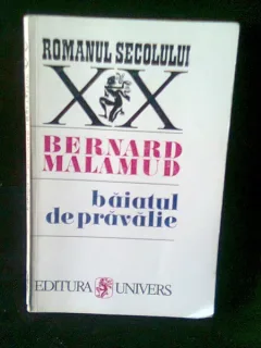 BAIATUL DIN PRAVALIE - BERNARD MALAMUD
