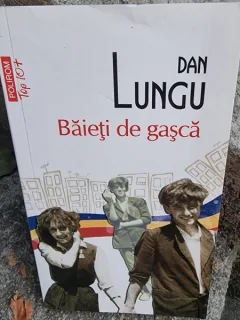 Baieti de gasca - Dan Lungu