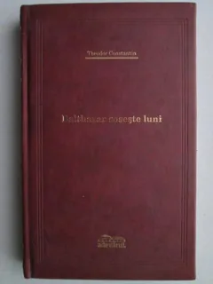 BALTHAZAR SOSESTE LUNI - THEODOR CONSTANTIN