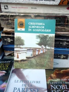 BALZAC SI MICUTA CROITOREASA CHINEZA , DAI SIJIE