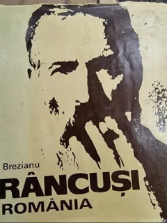 Barbu Brezianu - Brancusi in Romania