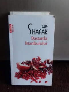 BASTARDA ISTANBULULUI - ELIF SHAFAK