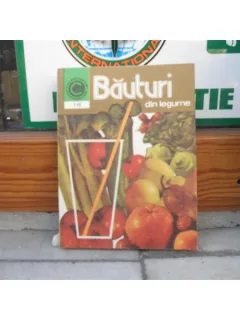 Bauturi din legume , Georgeta Septilici