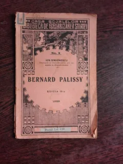 BERNARD PALISSY - ION SIMIONESCU