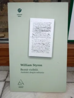 BEZNA VIZIBILA. AMINTIRI DESPRE NEBUNIE , WILLIAM STYRON