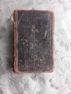 BIBLIA 1876, IN LIMBA GERMANA