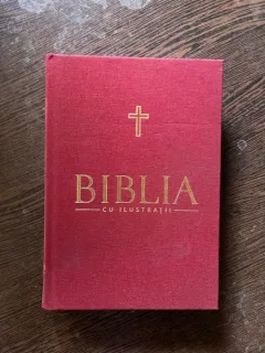 Biblia cu ilustratii (volumul 4)