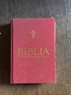 Biblia cu ilustratii (volumul 8)