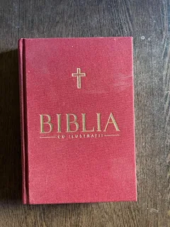Biblia cu ilustratii (volumul 6)