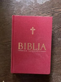 Biblia cu ilustratii (volumul 7)